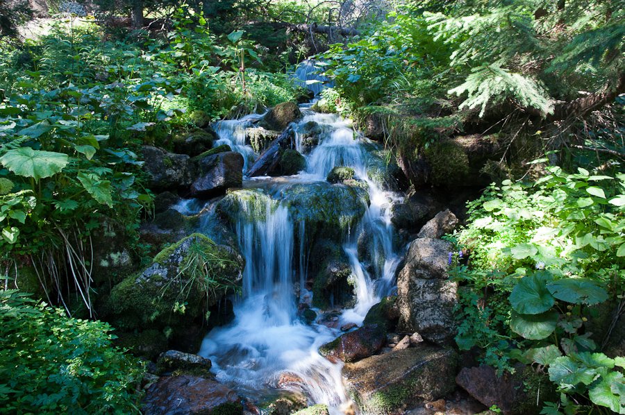 sedlo Sedielko z Tatranskej Javoriny (Vysoké Tatry)