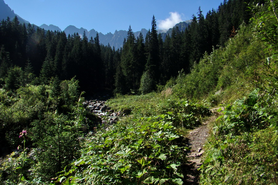 sedlo Sedielko z Tatranskej Javoriny (Vysoké Tatry)