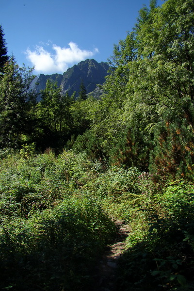 sedlo Sedielko z Tatranskej Javoriny (Vysoké Tatry)