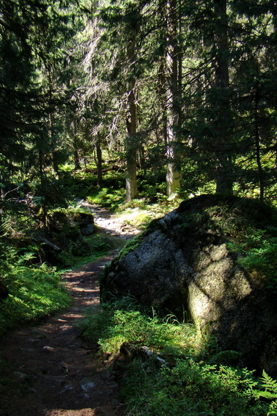 sedlo Sedielko z Tatranskej Javoriny (Vysoké Tatry)