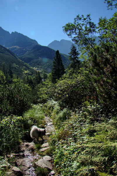 sedlo Sedielko z Tatranskej Javoriny (Vysoké Tatry)