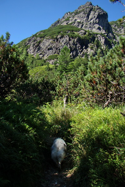 sedlo Sedielko z Tatranskej Javoriny (Vysoké Tatry)