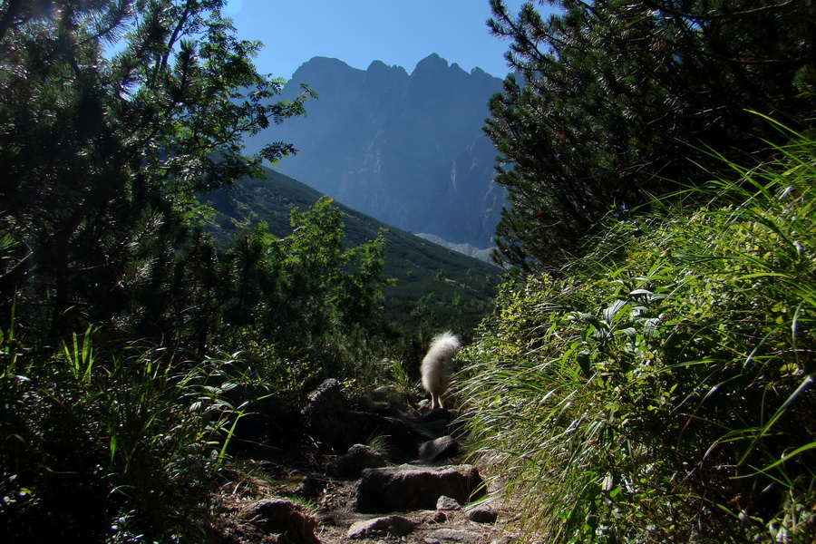 sedlo Sedielko z Tatranskej Javoriny (Vysoké Tatry)