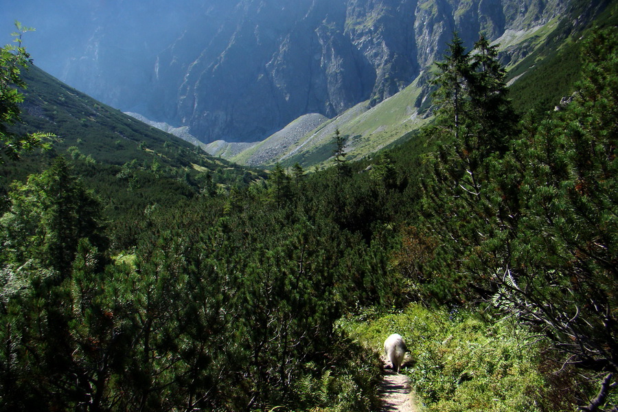 sedlo Sedielko z Tatranskej Javoriny (Vysoké Tatry)