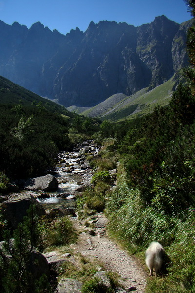 sedlo Sedielko z Tatranskej Javoriny (Vysoké Tatry)