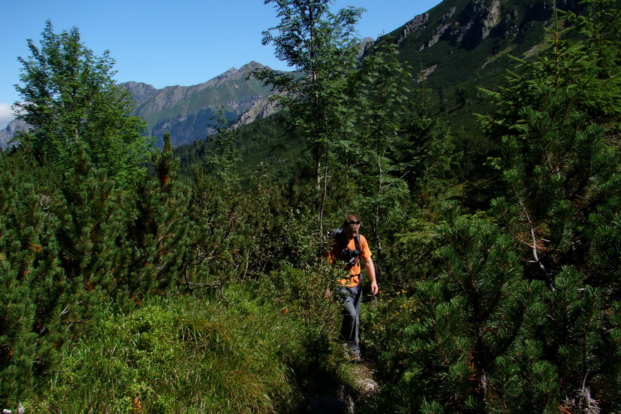 sedlo Sedielko z Tatranskej Javoriny (Vysoké Tatry)