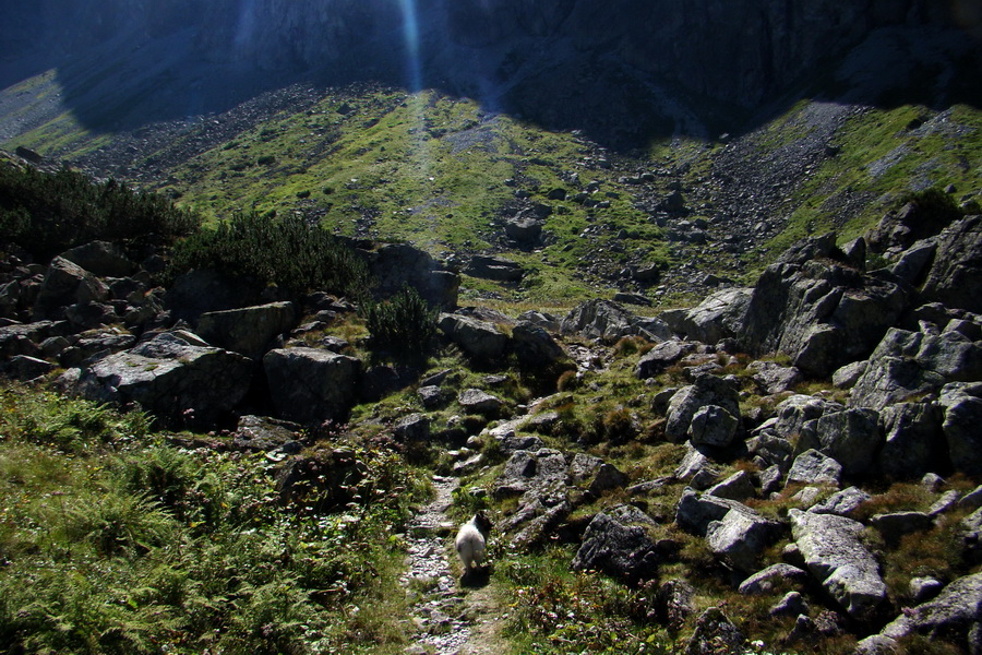 sedlo Sedielko z Tatranskej Javoriny (Vysoké Tatry)