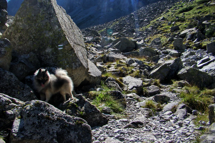 sedlo Sedielko z Tatranskej Javoriny (Vysoké Tatry)