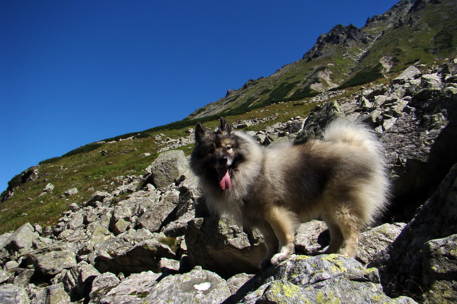 sedlo Sedielko z Tatranskej Javoriny (Vysoké Tatry)