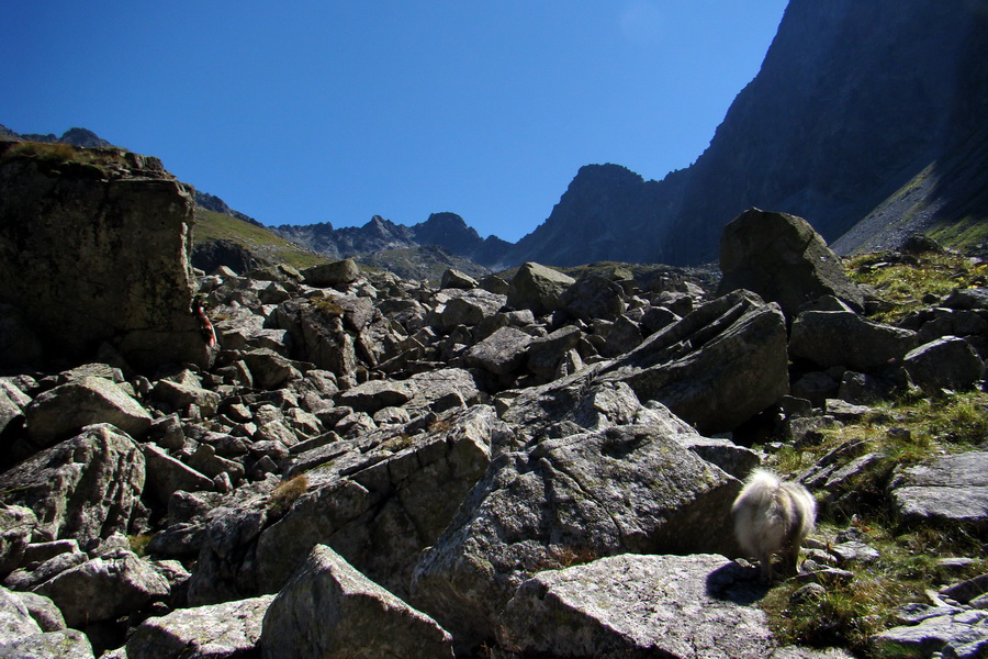 sedlo Sedielko z Tatranskej Javoriny (Vysoké Tatry)