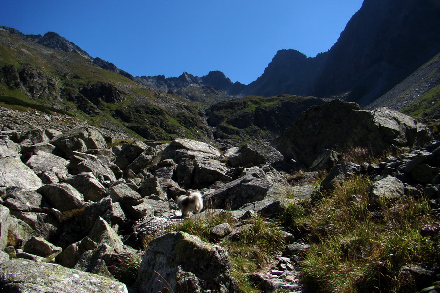 sedlo Sedielko z Tatranskej Javoriny (Vysoké Tatry)