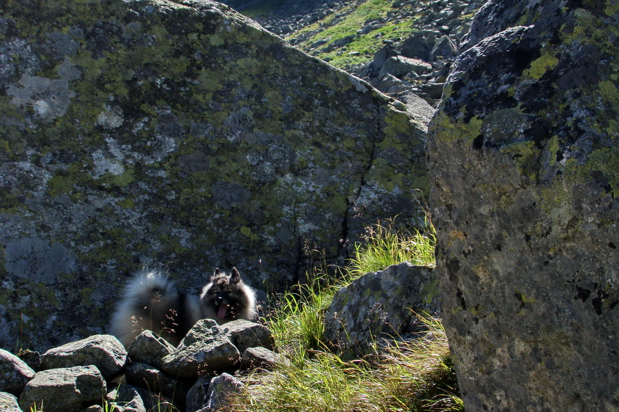 sedlo Sedielko z Tatranskej Javoriny (Vysoké Tatry)