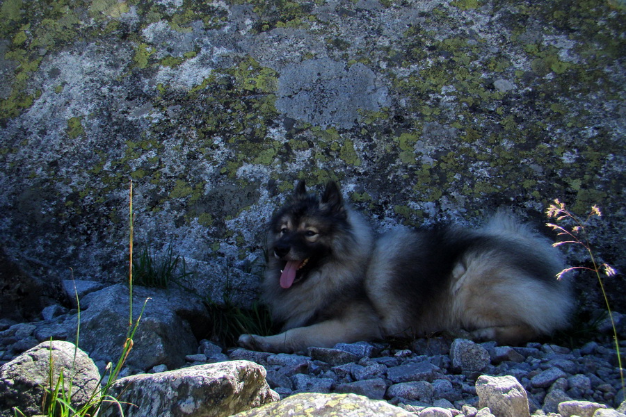 sedlo Sedielko z Tatranskej Javoriny (Vysoké Tatry)