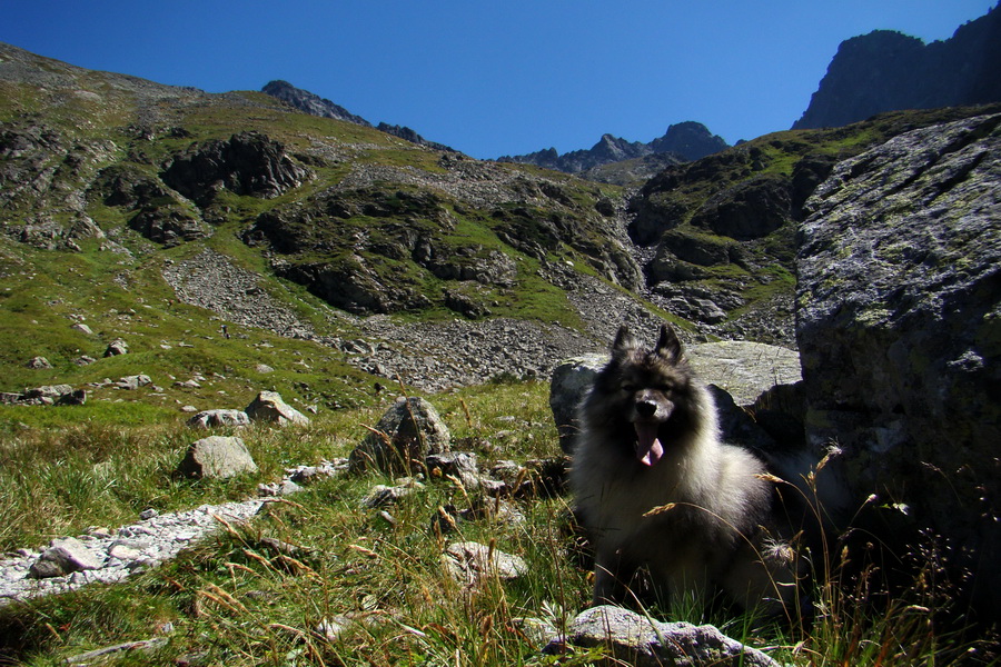 sedlo Sedielko z Tatranskej Javoriny (Vysoké Tatry)