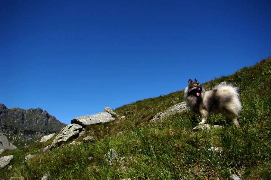 sedlo Sedielko z Tatranskej Javoriny (Vysoké Tatry)