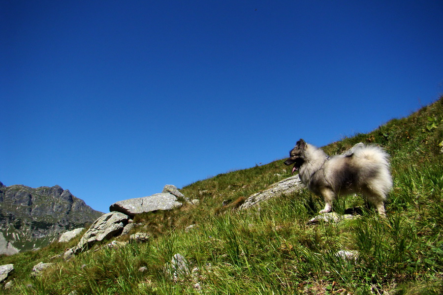 sedlo Sedielko z Tatranskej Javoriny (Vysoké Tatry)