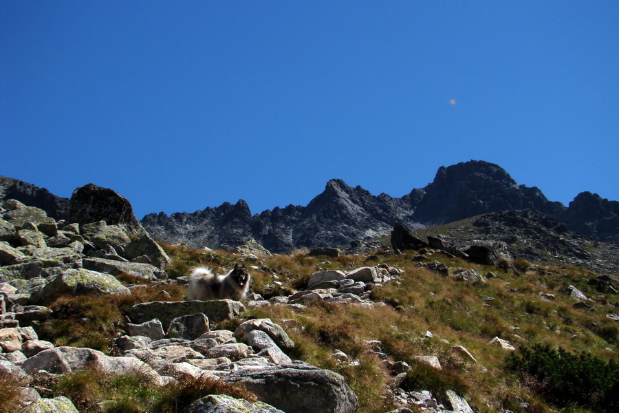 sedlo Sedielko z Tatranskej Javoriny (Vysoké Tatry)