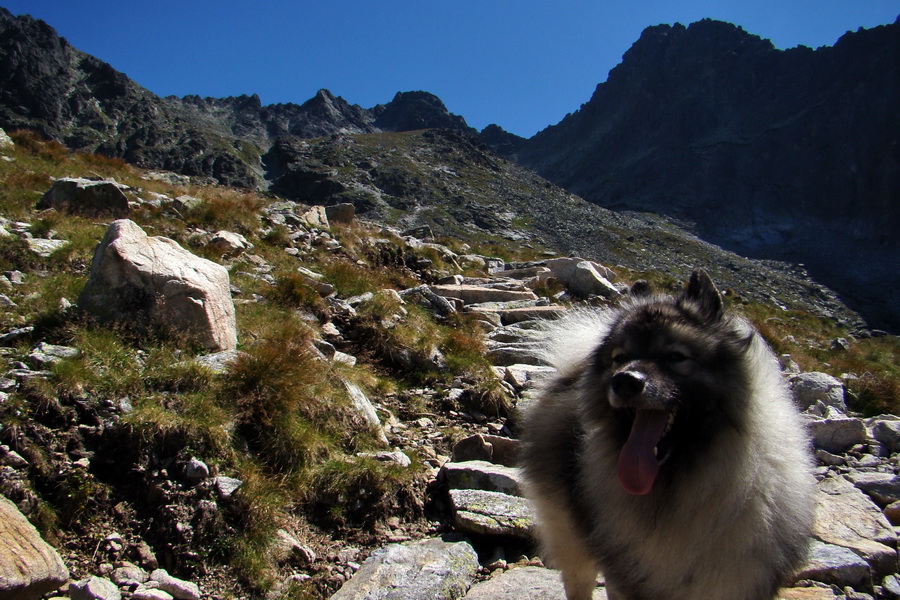 sedlo Sedielko z Tatranskej Javoriny (Vysoké Tatry)