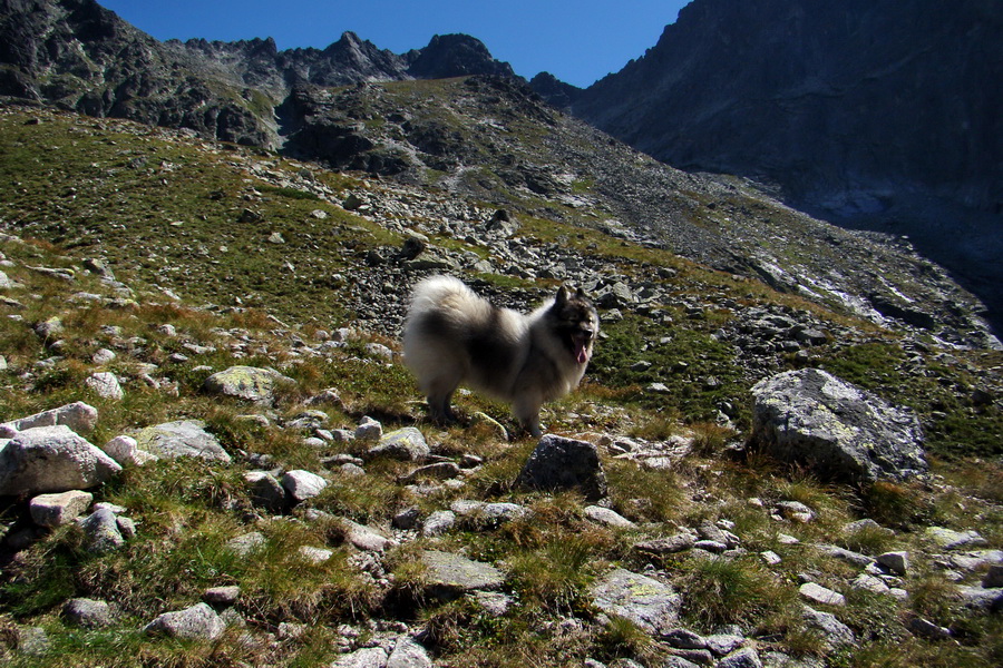 sedlo Sedielko z Tatranskej Javoriny (Vysoké Tatry)