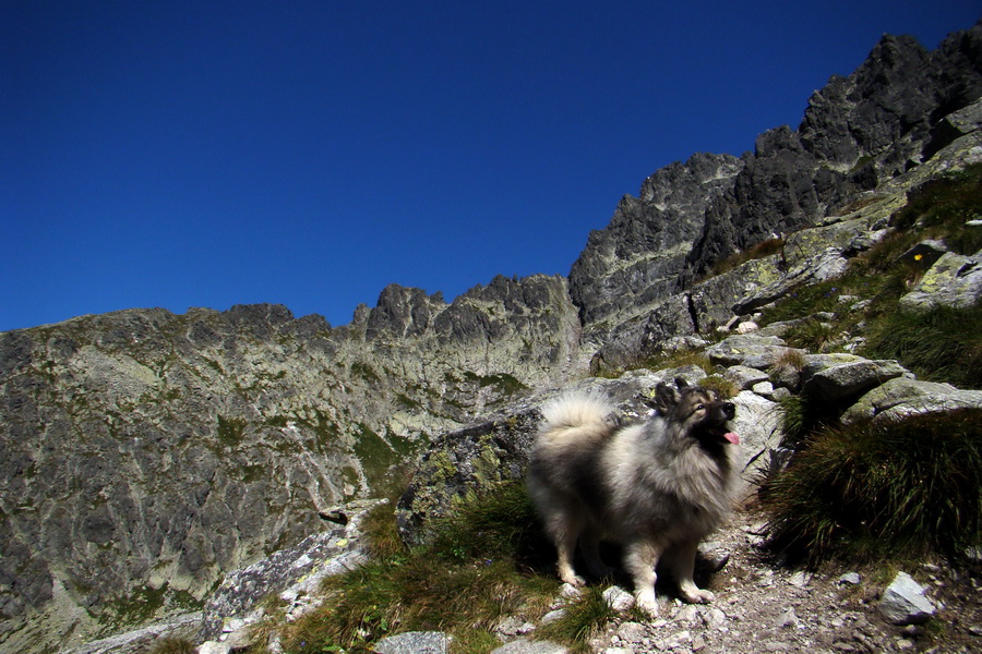 sedlo Sedielko z Tatranskej Javoriny (Vysoké Tatry)