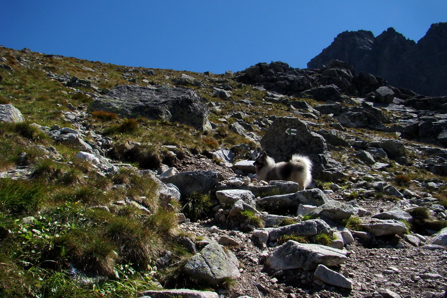 sedlo Sedielko z Tatranskej Javoriny (Vysoké Tatry)