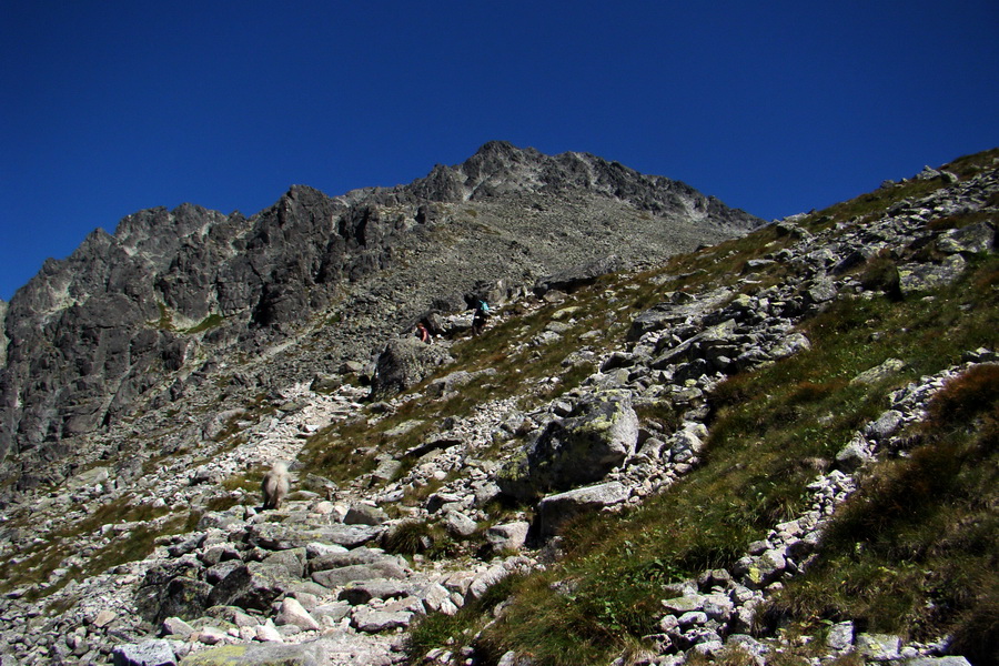 sedlo Sedielko z Tatranskej Javoriny (Vysoké Tatry)