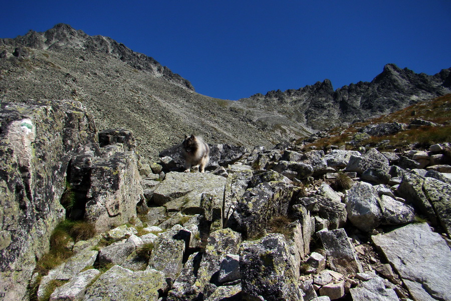 sedlo Sedielko z Tatranskej Javoriny (Vysoké Tatry)