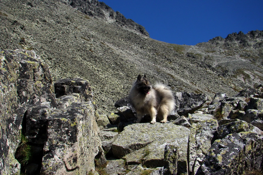 sedlo Sedielko z Tatranskej Javoriny (Vysoké Tatry)