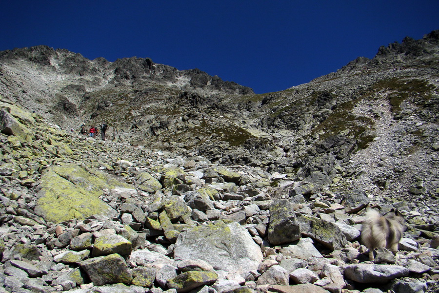 sedlo Sedielko z Tatranskej Javoriny (Vysoké Tatry)