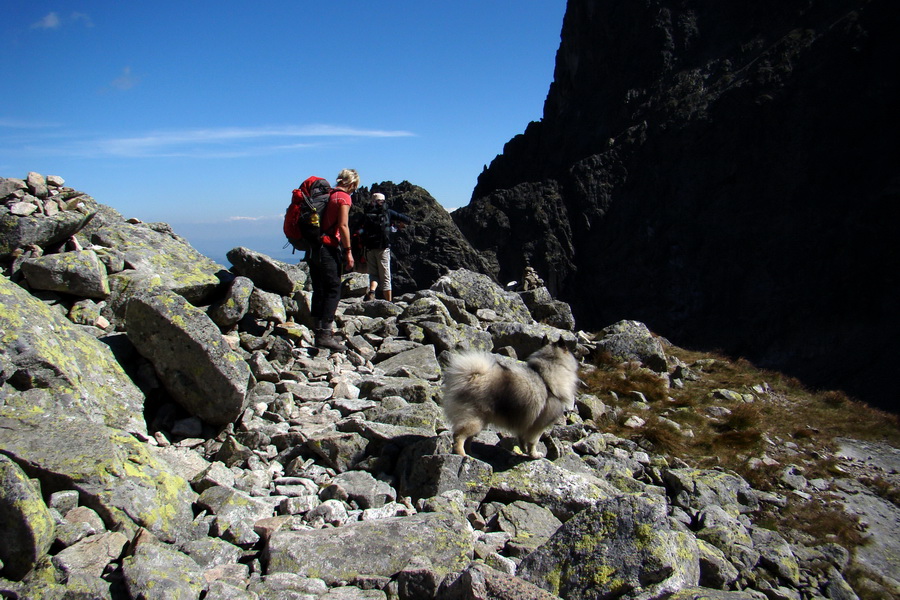 sedlo Sedielko z Tatranskej Javoriny (Vysoké Tatry)