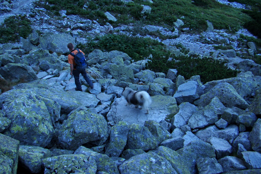 sedlo Sedielko z Tatranskej Javoriny (Vysoké Tatry)