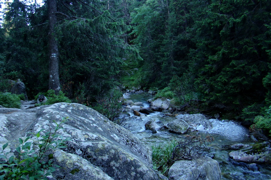 sedlo Sedielko z Tatranskej Javoriny (Vysoké Tatry)