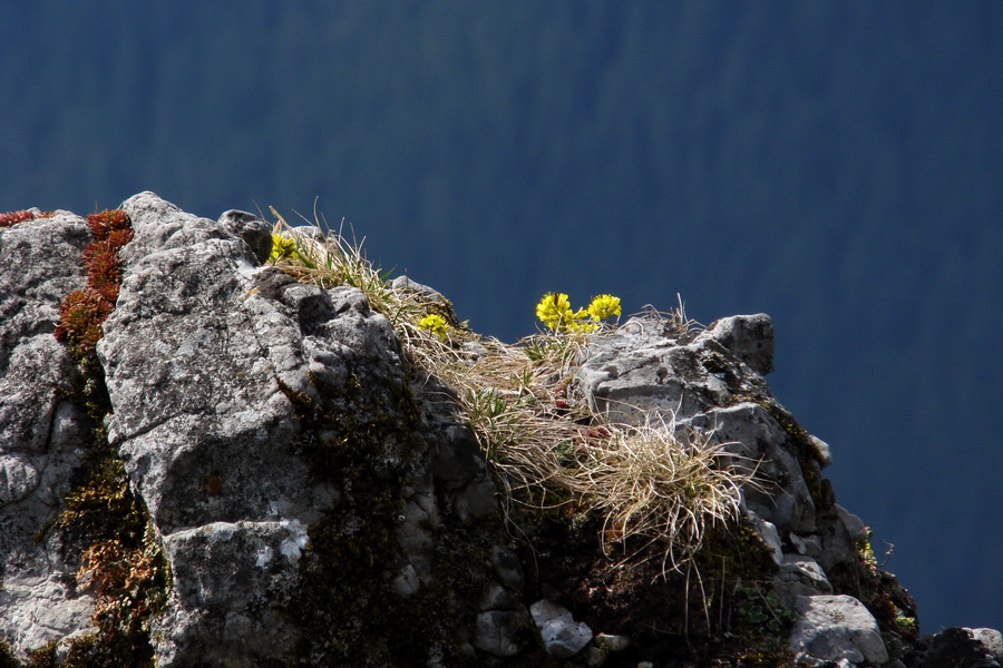 Siná (Nízke Tatry)