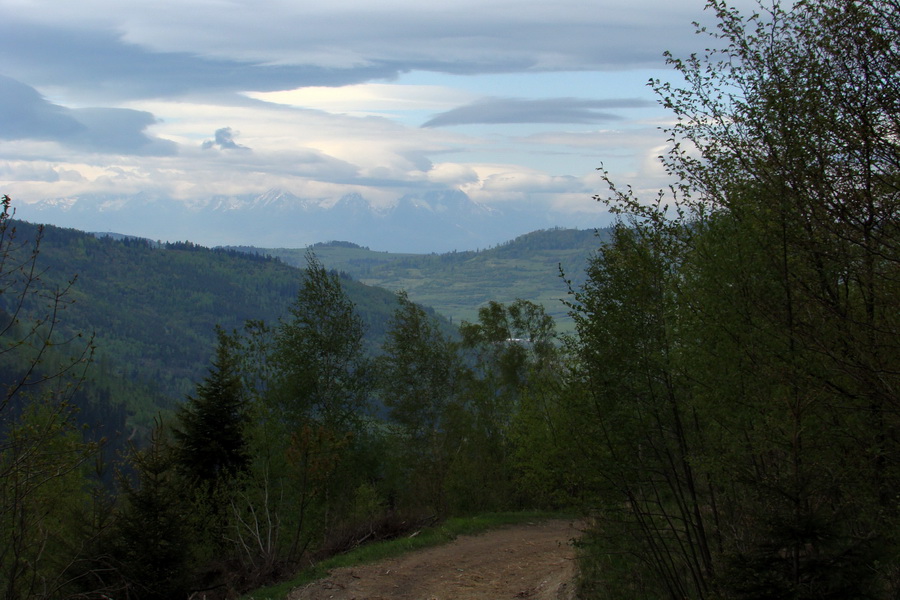 Zlatý stôl zo Smolníka (Volovské vrchy)