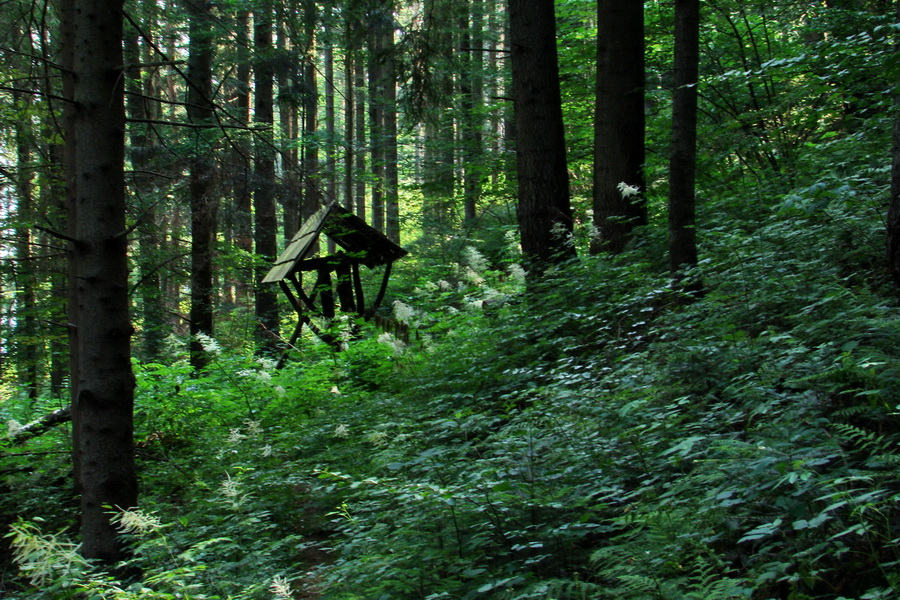 Kloptaň z Gelnice (Volovské vrchy)