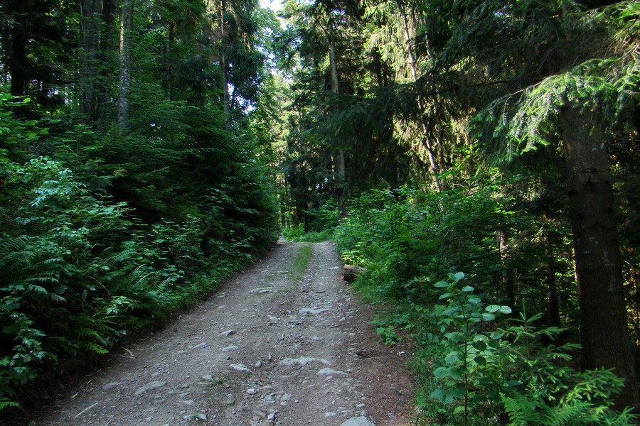 Kloptaň z Gelnice (Volovské vrchy)