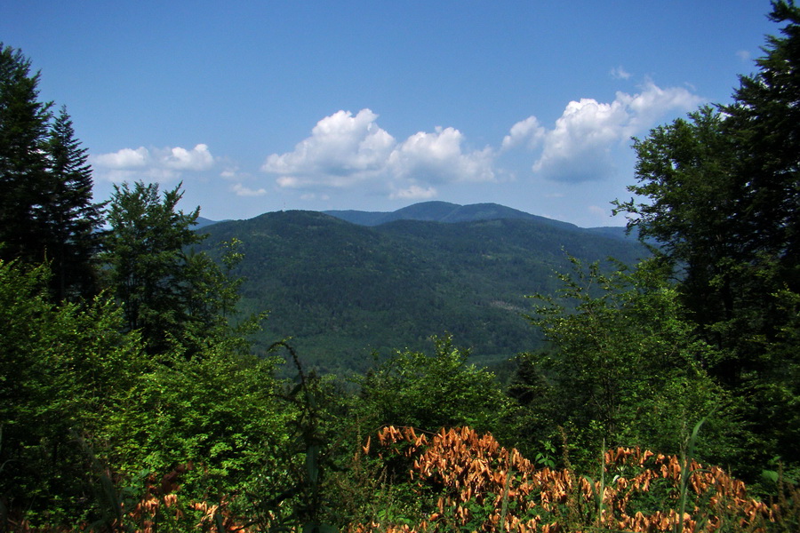 Kloptaň z Gelnice (Volovské vrchy)