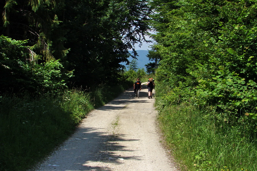 Kloptaň z Gelnice (Volovské vrchy)