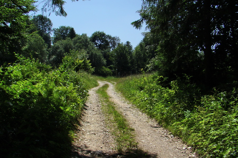 Kloptaň z Gelnice (Volovské vrchy)