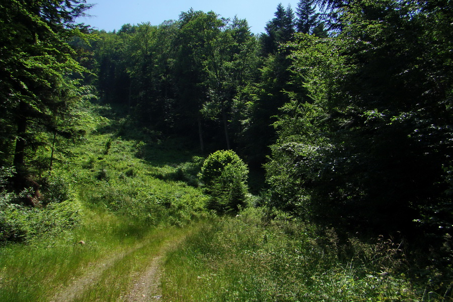 Kloptaň z Gelnice (Volovské vrchy)