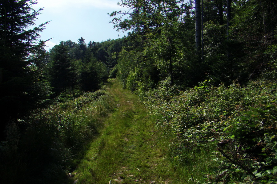 Kloptaň z Gelnice (Volovské vrchy)