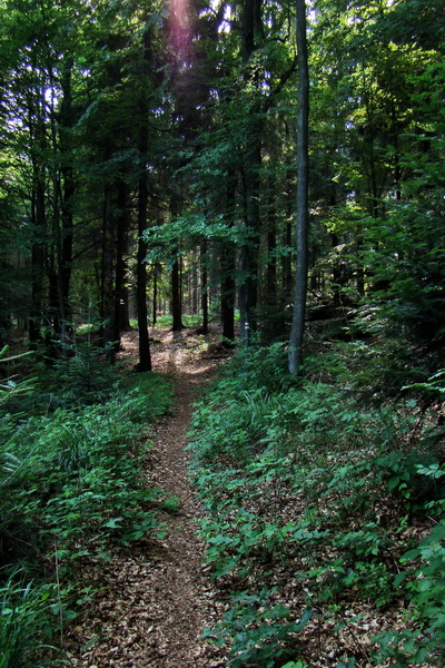 Kloptaň z Gelnice (Volovské vrchy)