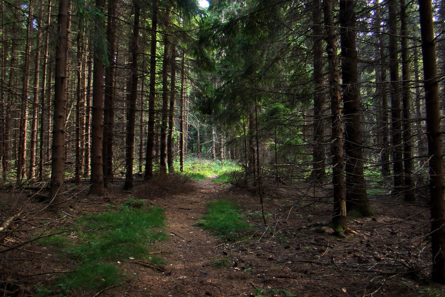 Kloptaň z Gelnice (Volovské vrchy)