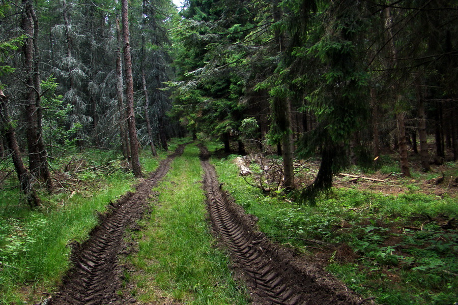 Kloptaň z Gelnice (Volovské vrchy)