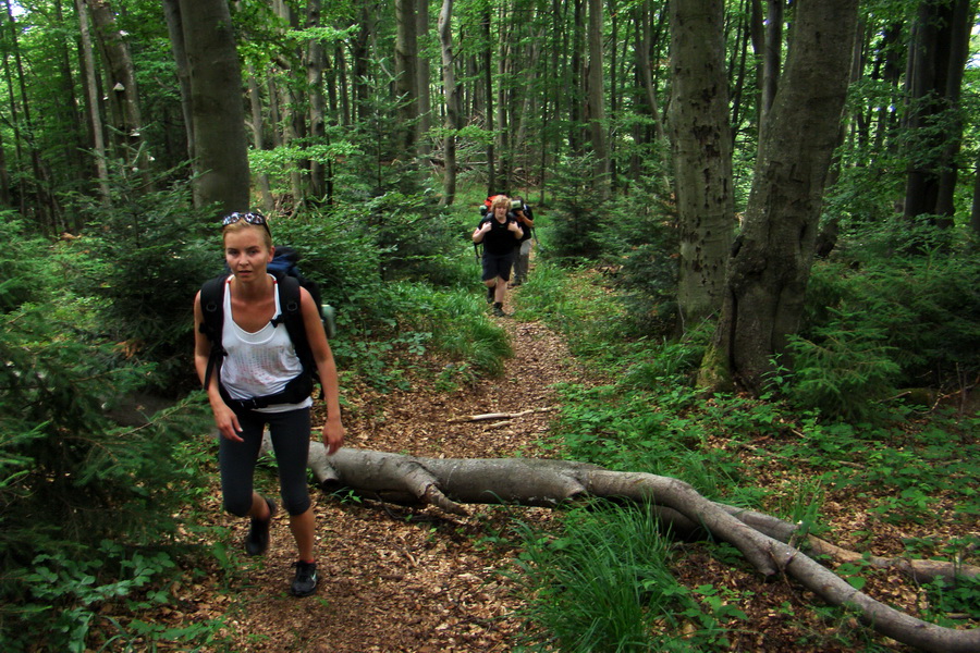 Kloptaň z Gelnice (Volovské vrchy)