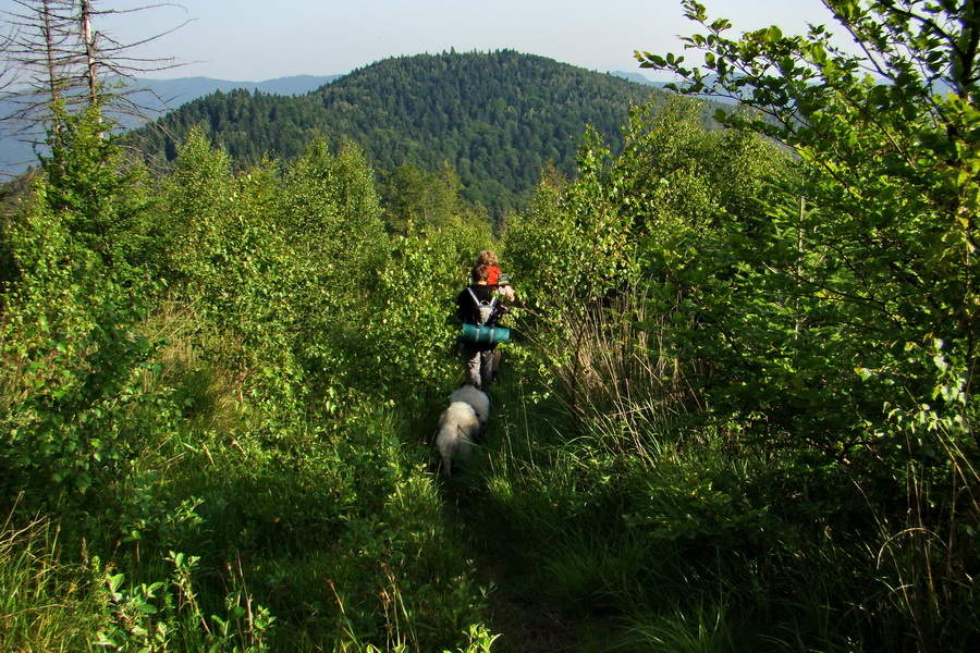 Kloptaň z Gelnice (Volovské vrchy)