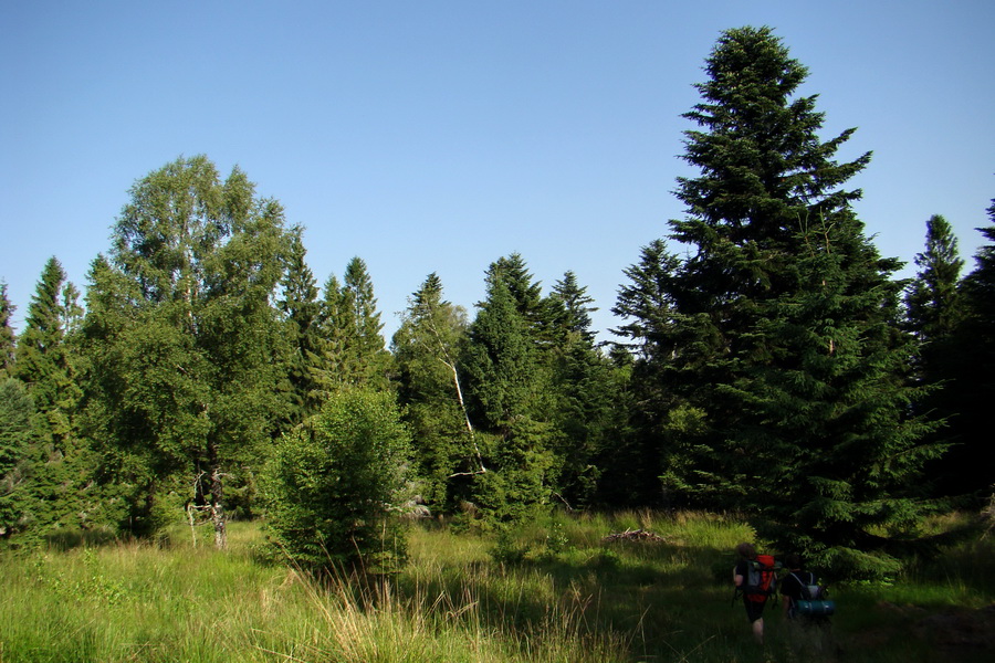 Kloptaň z Gelnice (Volovské vrchy)