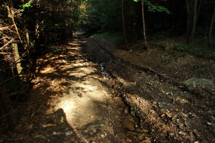 Kloptaň z Gelnice (Volovské vrchy)