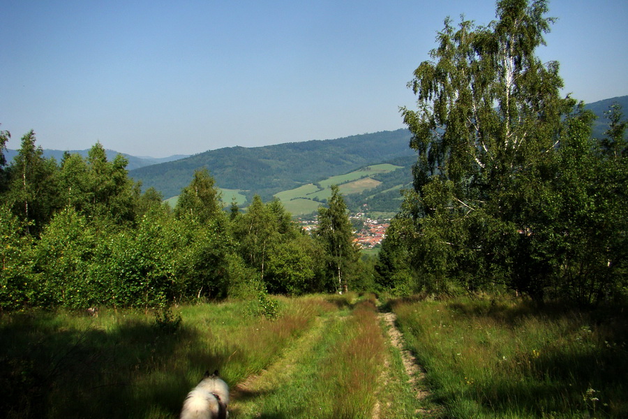 Kloptaň z Gelnice (Volovské vrchy)