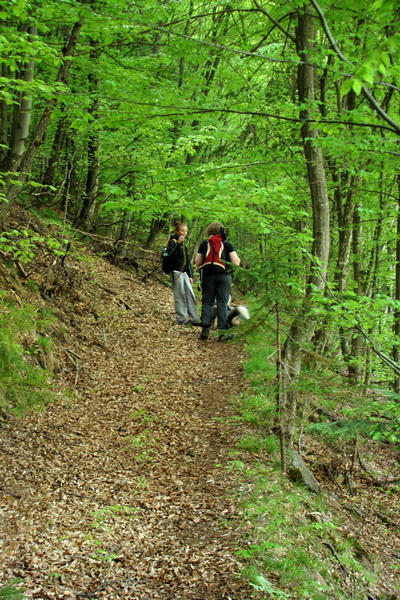 Kojšovská hoľa z Gelnice (Volovské vrchy)